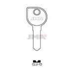 CLU-1D